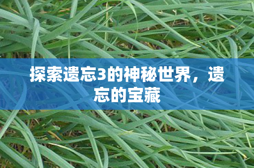 探索遗忘3的神秘世界图片