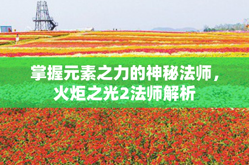 掌握元素之力的神秘法师图片