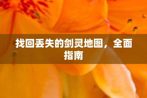 找回丢失的剑灵地图图片