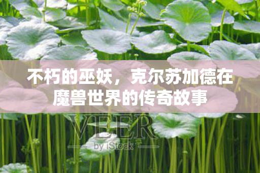不朽的巫妖,克尔苏加德在魔兽世界的传奇故事 不朽的巫妖,克尔苏加德在魔兽世界的传奇故事