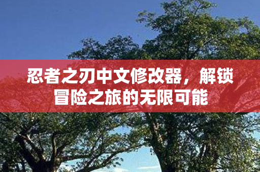 忍者之刃中文修改器,解锁冒险之旅的无限可能 忍者之刃中文修改器,解锁冒险之旅的无限可能