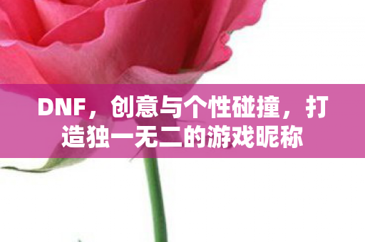 打造独一无二的游戏昵称图片
