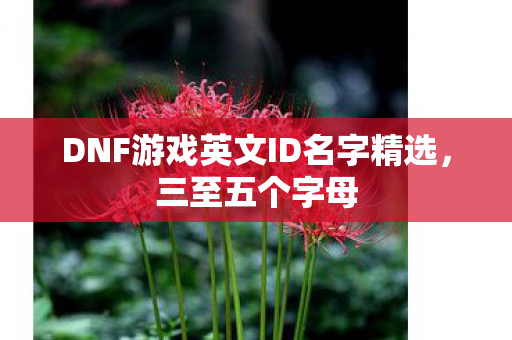 DNF游戏英文ID名字精选图片