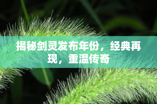 揭秘剑灵发布年份图片