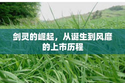 剑灵的崛起,从诞生到风靡的上市历程 剑灵的崛起,从诞生到风靡的上市历程