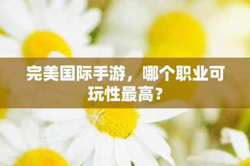 哪个职业可玩性最高图片