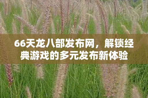 66天龙八部发布网，解锁经典游戏的多元发布新体验