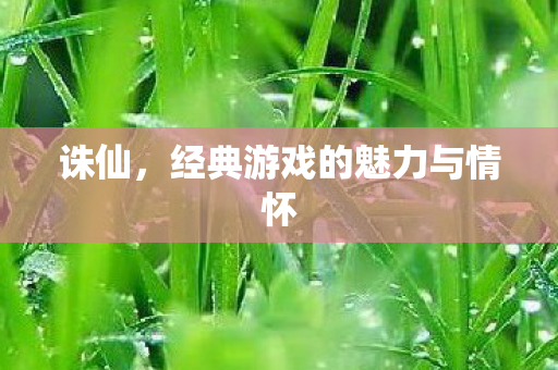 经典游戏的魅力与情怀图片