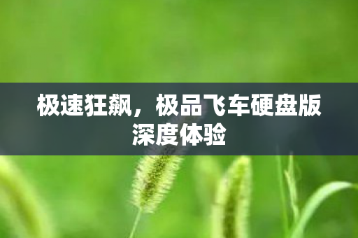 极速狂飙,极品飞车硬盘版深度体验 极速狂飙,极品飞车硬盘版深度体验