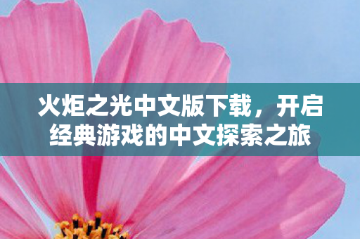 火炬之光中文版下载,开启经典游戏的中文探索之旅 火炬之光中文版下载,开启经典游戏的中文探索之旅
