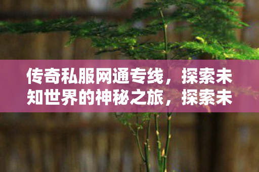 探索未知世界的神秘之旅图片