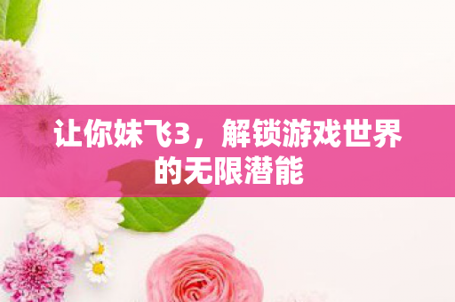 让你妹飞3,解锁游戏世界的无限潜能 让你妹飞3,解锁游戏世界的无限潜能