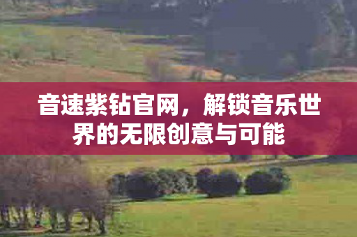 音速紫钻官网,解锁音乐世界的无限创意与可能 音速紫钻官网,解锁音乐世界的无限创意与可能