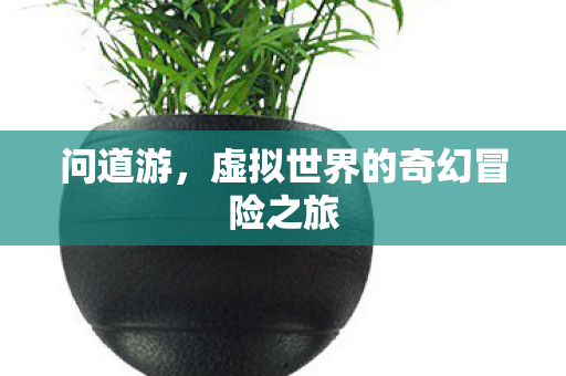 虚拟世界的奇幻冒险之旅图片