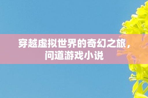 穿越虚拟世界的奇幻之旅图片