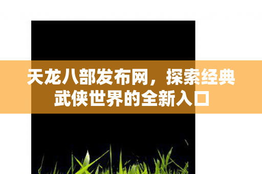 天龙八部发布网，探索经典武侠世界的全新入口