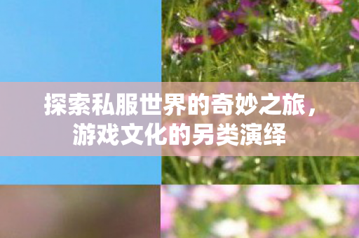 探索私服世界的奇妙之旅图片
