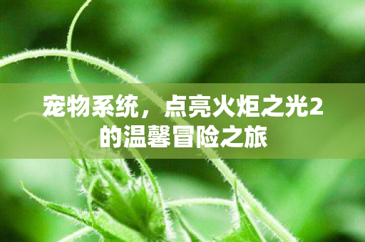 点亮火炬之光2的温馨冒险之旅图片