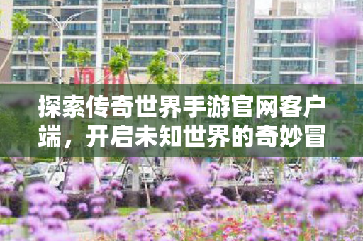 探索传奇世界手游官网客户端图片