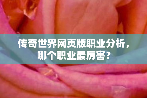 传奇世界网页版职业分析图片