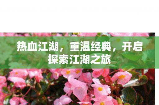 开启探索江湖之旅图片