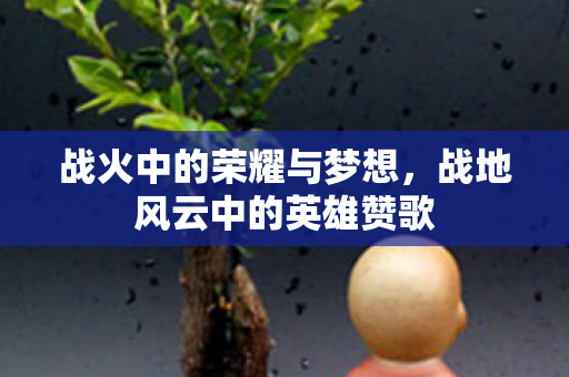 战火中的荣耀与梦想,战地风云中的英雄赞歌 战火中的荣耀与梦想,战地风云中的英雄赞歌