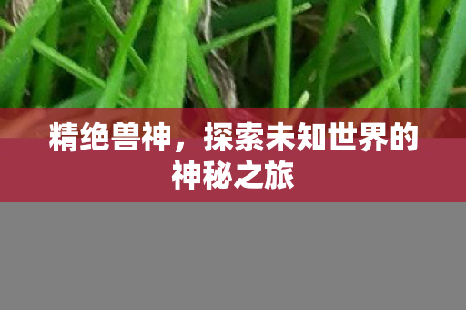 精绝兽神,探索未知世界的神秘之旅 精绝兽神,探索未知世界的神秘之旅