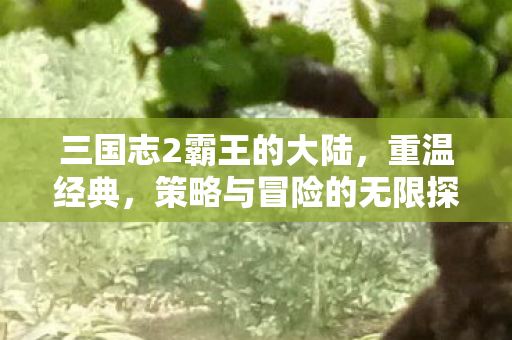 三国志2霸王的大陆，重温经典，策略与冒险的无限探索之旅