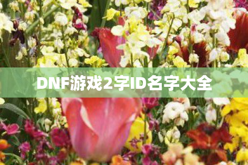 DNF游戏2字ID名字大全图片