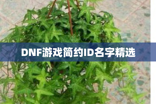 DNF游戏简约ID名字精选图片