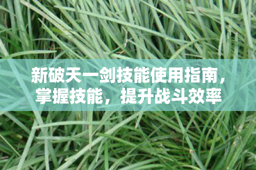 新破天一剑技能使用指南图片