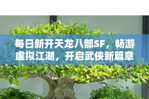 每日新开天龙八部SF,畅游虚拟江湖,开启武侠新篇章! 每日新开天龙八部SF,畅游虚拟江湖,开启武侠新篇章!