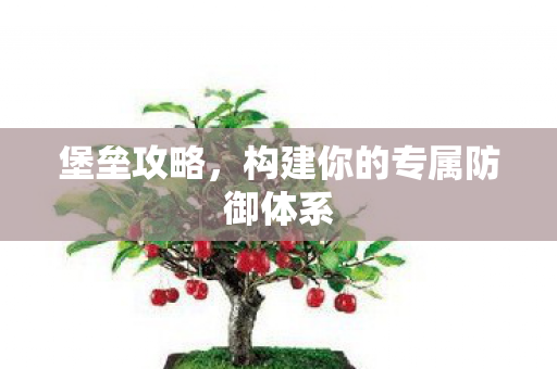 堡垒攻略,构建你的专属防御体系 堡垒攻略,构建你的专属防御体系
