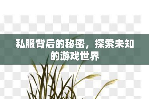 探索未知的游戏世界图片