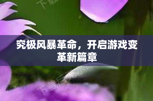 究极风暴革命,开启游戏变革新篇章 究极风暴革命,开启游戏变革新篇章