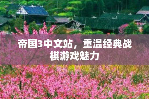 帝国3中文站，重温经典战棋游戏魅力