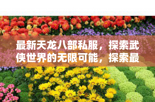 最新天龙八部私服，探索武侠世界的无限可能，探索最新天龙八部私服，开启武侠世界的无限冒险之旅