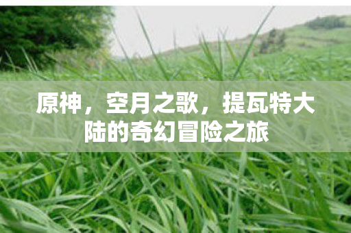 原神,空月之歌,提瓦特大陆的奇幻冒险之旅 原神,空月之歌,提瓦特大陆的奇幻冒险之旅