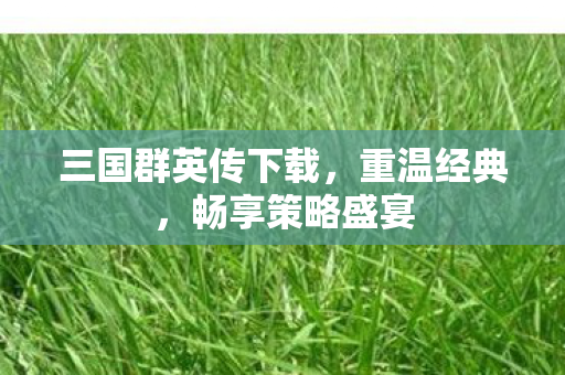 三国群英传下载，重温经典，畅享策略盛宴