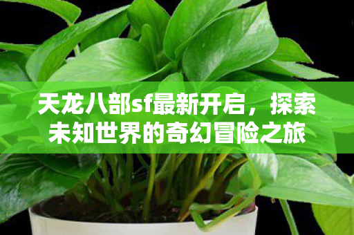 天龙八部sf最新开启,探索未知世界的奇幻冒险之旅 天龙八部sf最新开启,探索未知世界的奇幻冒险之旅