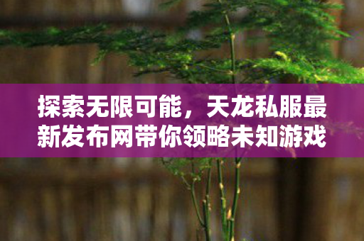 探索无限可能，天龙私服最新发布网带你领略未知游戏世界