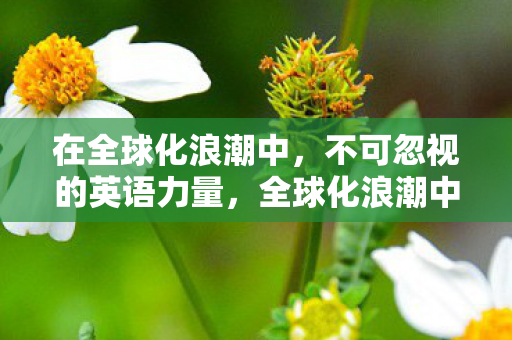 在全球化浪潮中,不可忽视的英语力量,全球化浪潮中不可忽视的英语力量 在全球化浪潮中,不可忽视的英语力量,全球化浪潮中不可忽视的英语力量