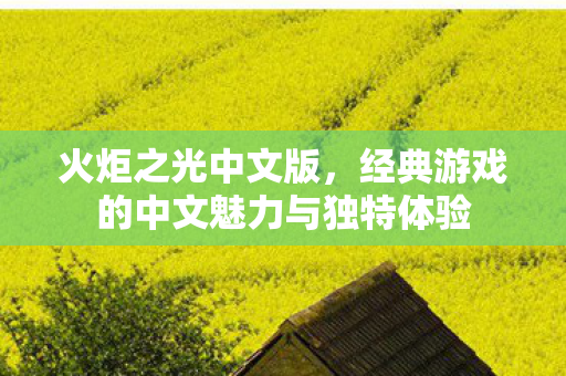 火炬之光中文版，经典游戏的中文魅力与独特体验