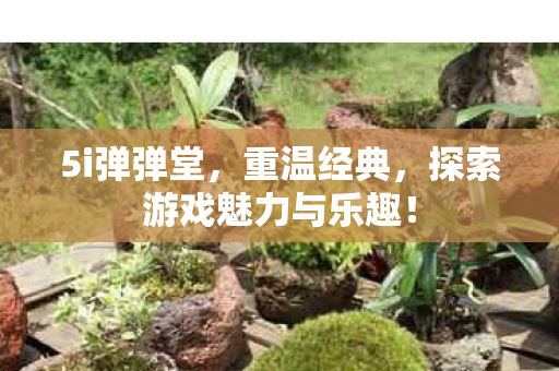 5i弹弹堂,重温经典,探索游戏魅力与乐趣! 5i弹弹堂,重温经典,探索游戏魅力与乐趣!