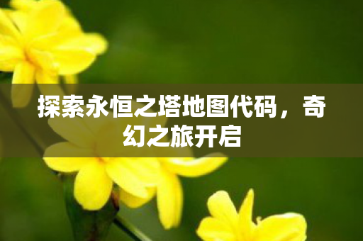 探索永恒之塔地图代码图片