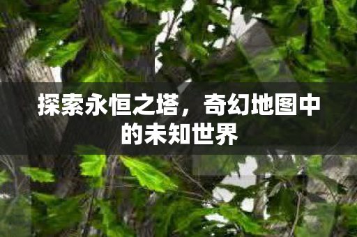 探索永恒之塔,奇幻地图中的未知世界 探索永恒之塔,奇幻地图中的未知世界