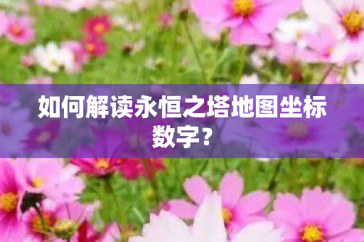 如何解读永恒之塔地图坐标数字图片