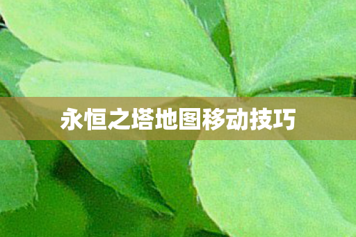 永恒之塔地图移动技巧图片