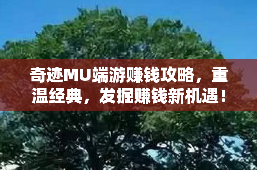 奇迹MU端游赚钱攻略,重温经典,发掘赚钱新机遇! 奇迹MU端游赚钱攻略,重温经典,发掘赚钱新机遇!