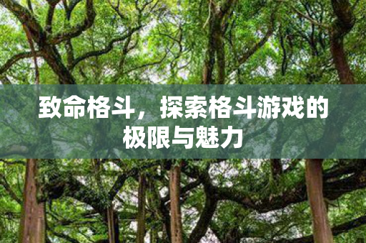 致命格斗,探索格斗游戏的极限与魅力 致命格斗,探索格斗游戏的极限与魅力